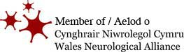 Wales Neurological Alliance Logo