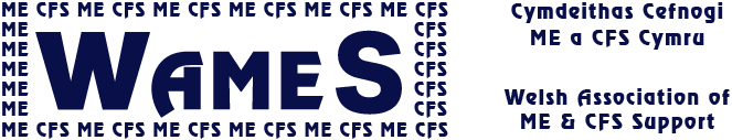 WAMES Welsh Association of ME & CFS Support
