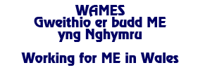 WAMES - Working for ME in Wales